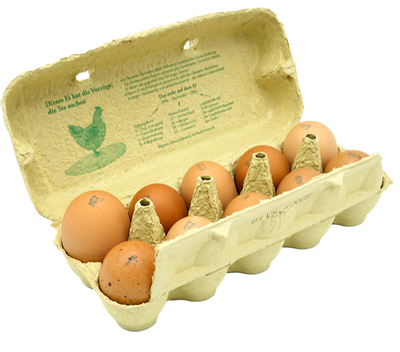 Produktfoto zu Eier 10er-Pack