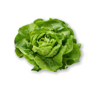 Produktfoto zu Kopfsalat grün