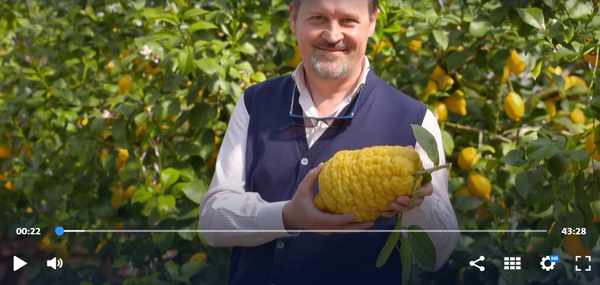 KI generiert: Mann hält große Zitrone in einem Garten. Videozeitleiste und Bedienelemente sichtbar.