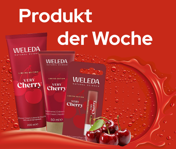 Nachhaltiger Bio-Lieferdienst aus deiner Region