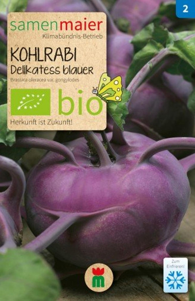 Produktfoto zu Saatgut Kohlrabi Delikatess blauer