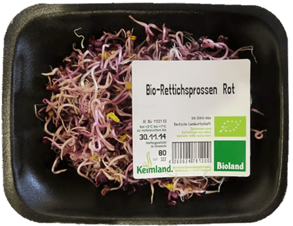 Produktfoto zu Sprossen RETTICH ROT