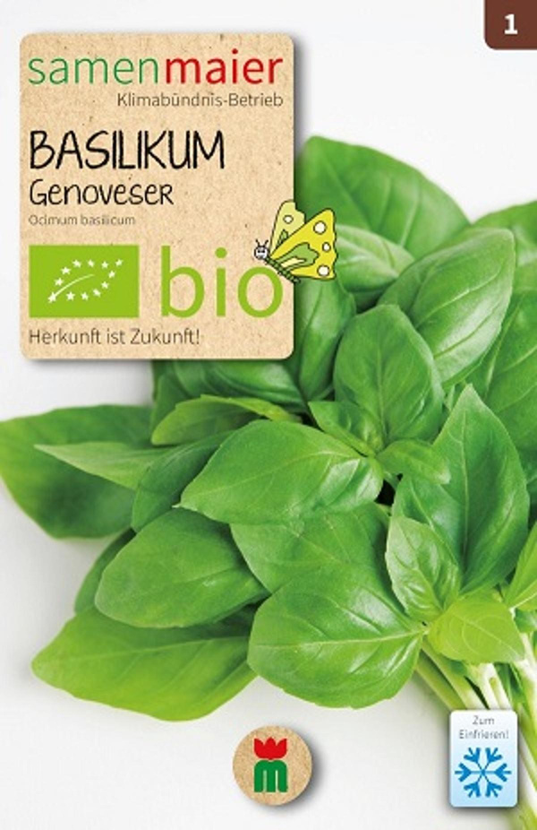 Produktfoto zu Saatgut Basilikum Genoveser