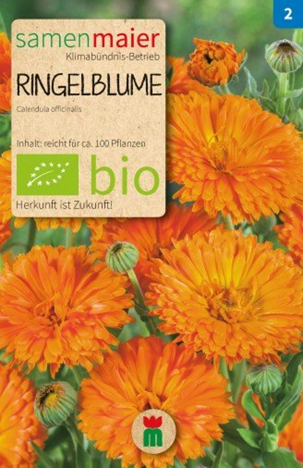 Produktfoto zu Saatgut Ringelblume orange