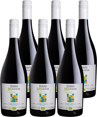 Produktfoto zu Prosecco Vino Frizzante Garganlla 6 x 0,75 Liter