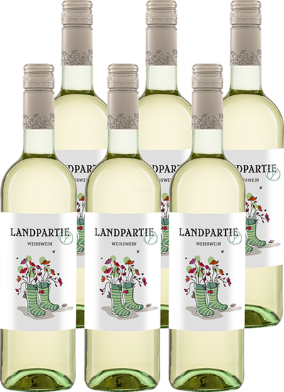 Produktfoto zu Weißwein Landpartie Kiste