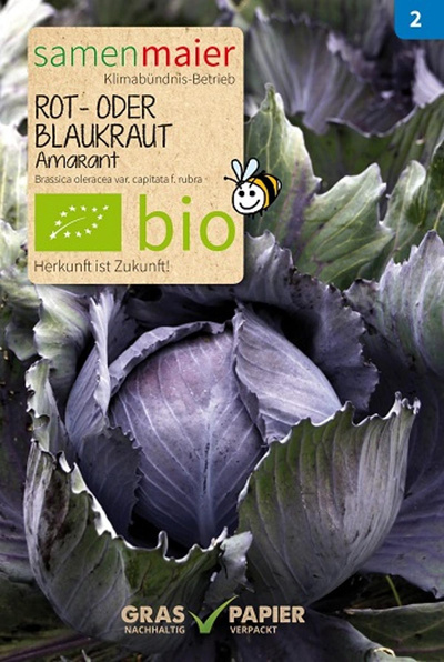 Produktfoto zu Saatgut Blaukraut Amarant