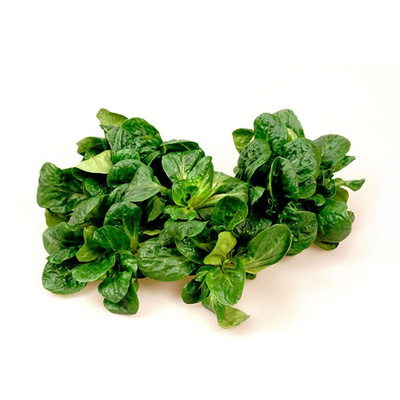 Produktfoto zu Feldsalat 125 g