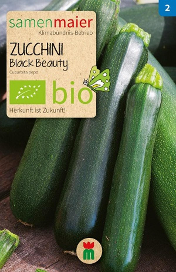 Produktfoto zu Saatgut Zucchini Black Beauty