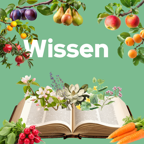 KI generiert: Ein offenes Buch mit Pflanzen und Früchten; Text: Wissen.
