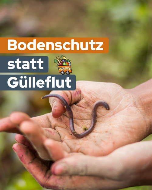 KI generiert: Hände halten Regenwurm. Text: "Bodenschutz statt Gülleflut".