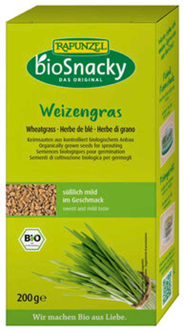 Produktfoto zu Keimsaat Weizengras