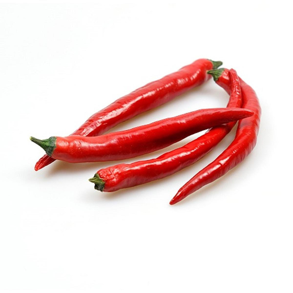 Produktfoto zu Peperoni rot CHILI scharf