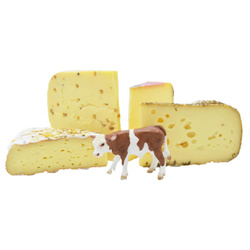 Produktfoto zu Käse-Karussell: 4x Kuhkäse
