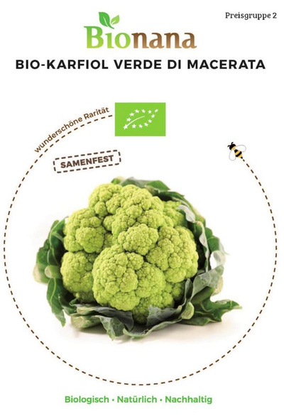 Produktfoto zu Saatgut Blumenkohl Verde di Macerata