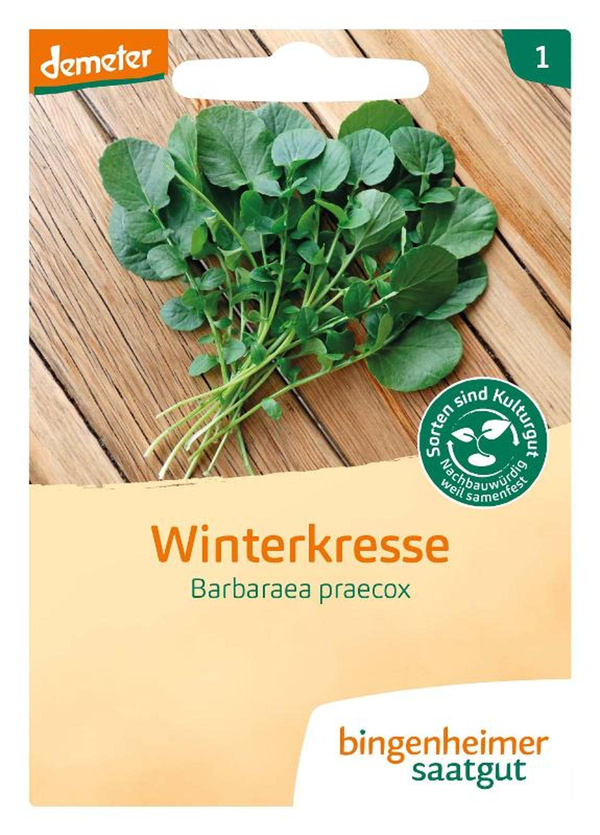Produktfoto zu Saatgut Winterkresse