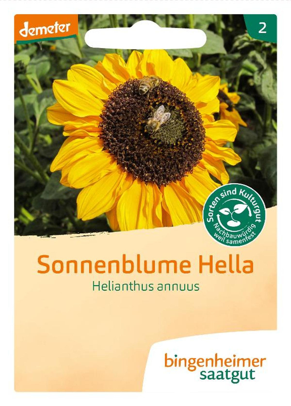 Produktfoto zu Saatgut Sonnenblumen Hella
