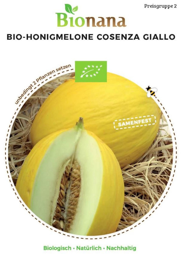 Produktfoto zu Saatgut Honigmelone Cosenza Giallo