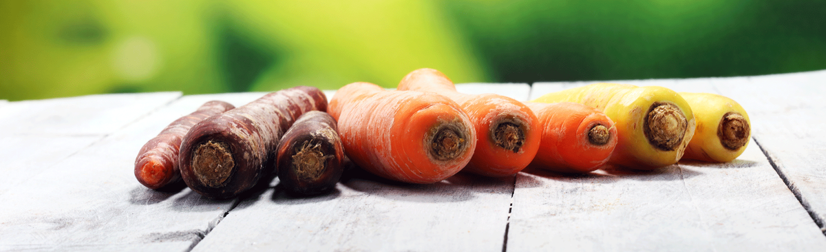 KI generiert: Das Bild zeigt verschiedene Karotten in den Farben Lila, Orange und Gelb, die auf einem weißen Holztisch liegen. Der Hintergrund ist unscharf und zeigt eine grüne, natürliche Umgebung.