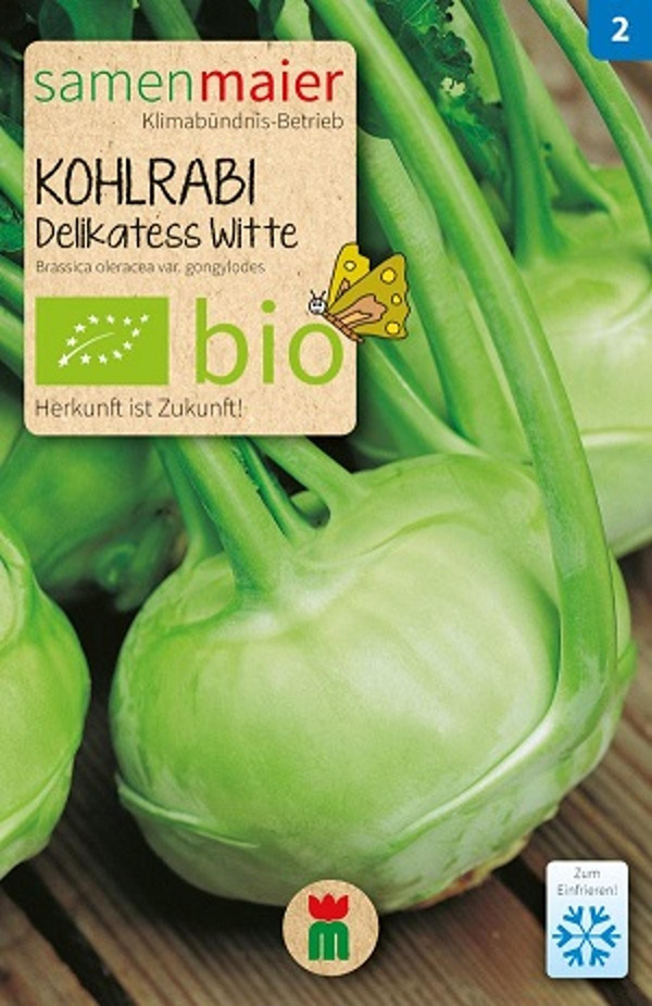Produktfoto zu Saatgut Kohlrabi Delikatess Witte