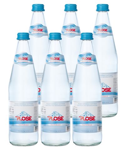 Produktfoto zu Plosequelle naturale 6 x 1 Liter