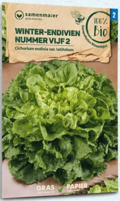 Produktfoto zu Saatgut Winter-Endivie