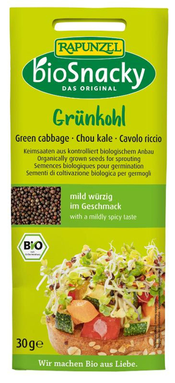 Produktfoto zu Keimsaat Grünkohl