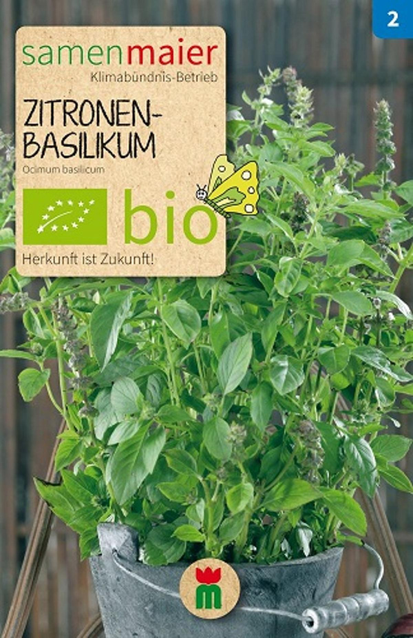 Produktfoto zu Saatgut Zitronen-Basilikum