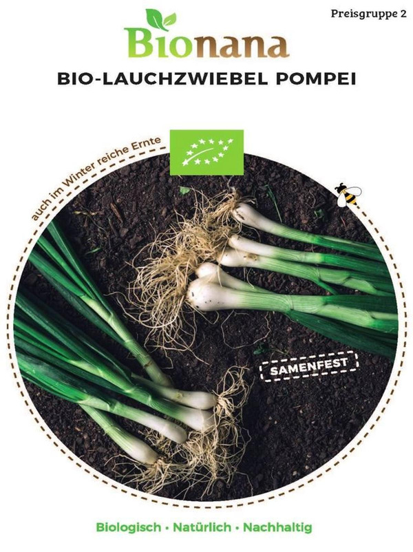 Produktfoto zu Saatgut Lauchzwiebel Pompei