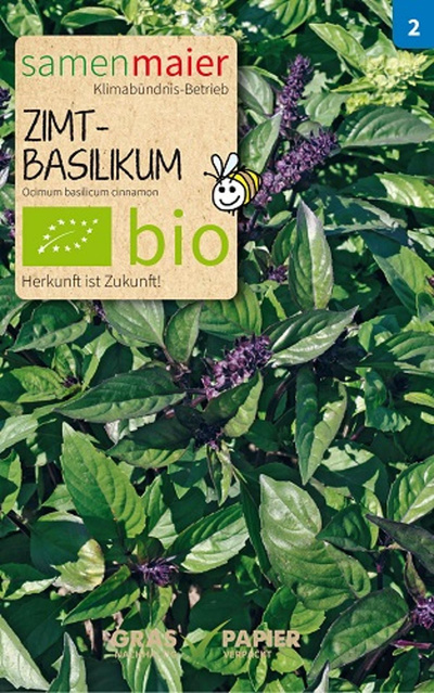 Produktfoto zu Saatgut Zimt-Basilikum