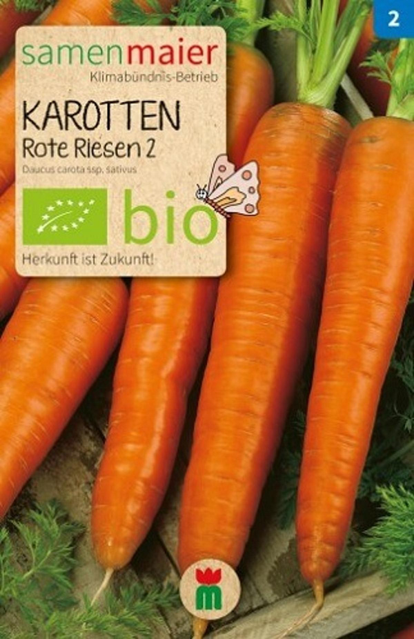 Produktfoto zu Saatgut Karotten Rote Riesen 2
