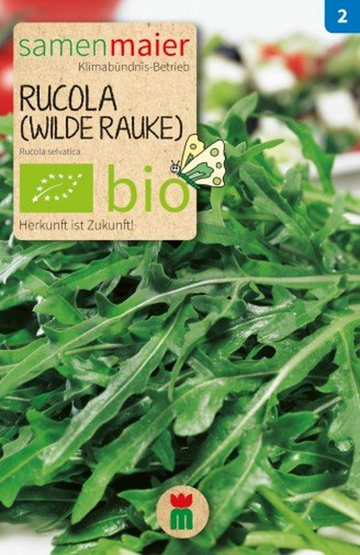 Produktfoto zu Saatgut Rucola Wilde Rauke