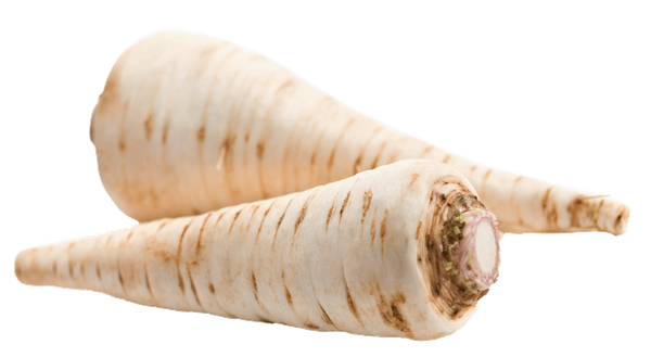 KI generiert: Das Bild zeigt zwei Pastinaken, die auf einer weißen Oberfläche liegen. Sie sind länglich und haben eine helle, beige Farbe mit erdigen Streifen.