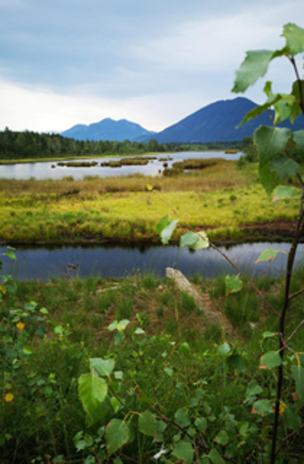 Produktfoto zu Natur schützen