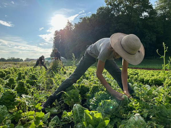Biogärtnerei Jolling
