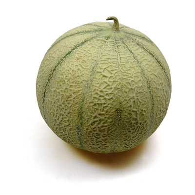 Produktfoto zu Melone CHARENTAISE