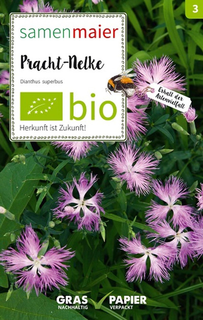 Produktfoto zu Saatgut Pracht Nelke