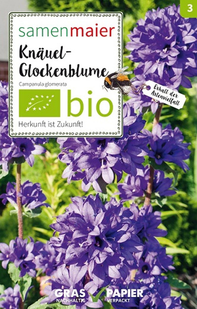 Produktfoto zu Saatgut Knäuel Glockenblume