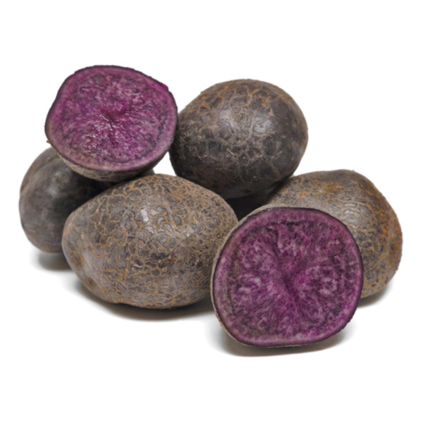 Produktfoto zu Kartoffel violett PURPLE RAIN vfk