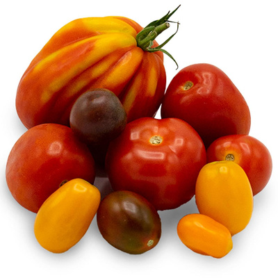 Produktfoto zu Tomaten Cocktail 500 g