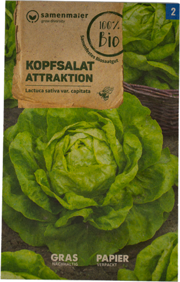 Produktfoto zu Saatgut Kopfsalat Attraktion