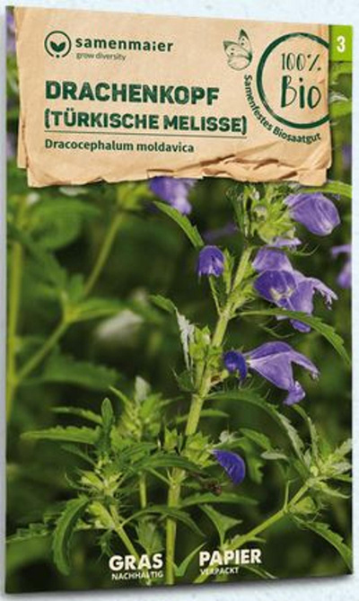 Produktfoto zu Saatgut Drachenkopf (türk. Melisse)