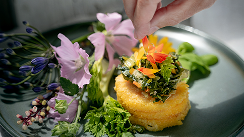 Rezeptbild für Grießrauten mit&nbsp;<br>Staudenselleriegemüse