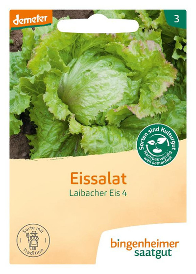 Produktfoto zu Saatgut Eissalat Laibacher