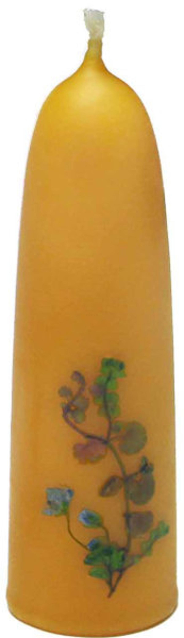 Produktfoto zu Blumenstumpen natur