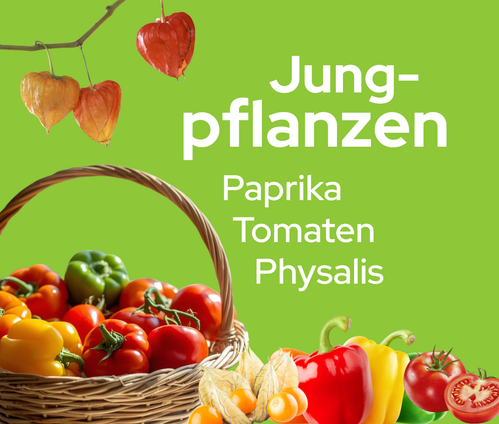 Nachhaltiger Bio-Lieferdienst aus deiner Region