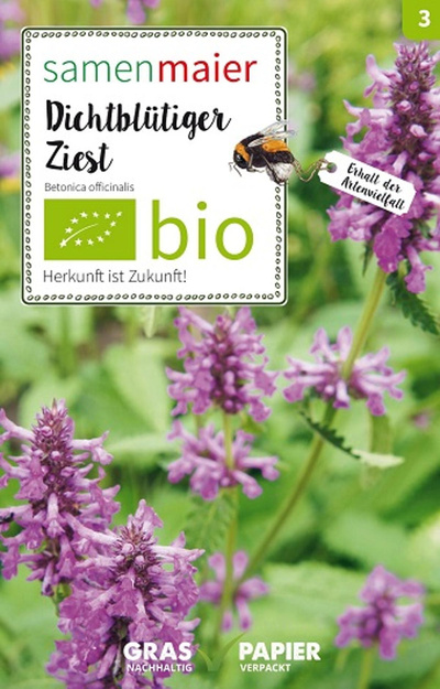 Produktfoto zu Saatgut Dichtblütiger Ziest