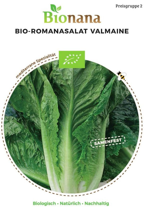 Produktfoto zu Saatgut Romanasalat Valmaine