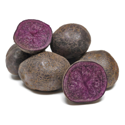 Produktfoto zu Kartoffel violett Purple Rain vfk