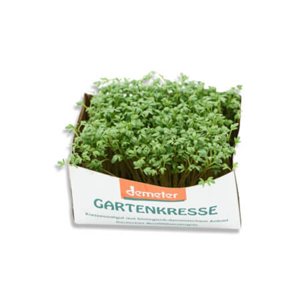 Produktfoto zu Kresse in der Schale Demeter